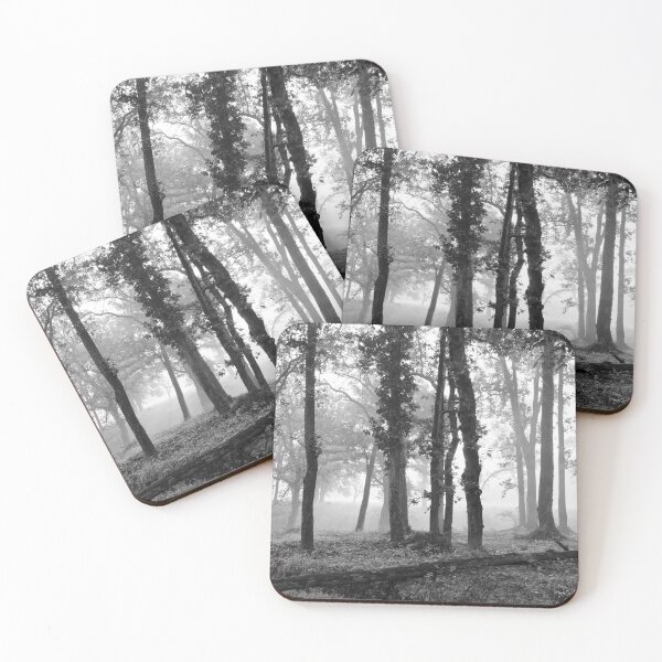 Item preview, Forest at Kanha national park India natural environment in monochrome, for personal gifts. designed and sold by CameraDesign.