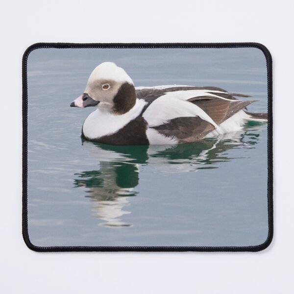 Item preview, Long Tailed Duck designed and sold by LaurenTucker.