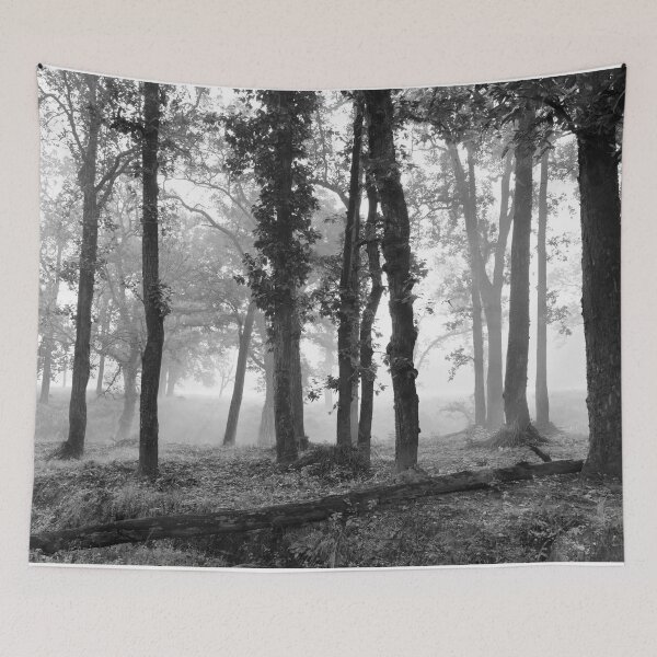 Item preview, Forest at Kanha national park India natural environment in monochrome, for personal gifts. designed and sold by CameraDesign.