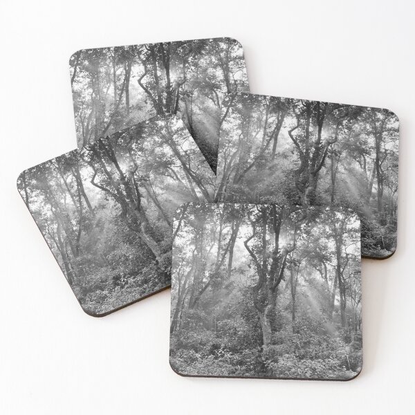 Item preview, Forest at Kanha national park India natural environment in monochrome, for personal gifts. designed and sold by CameraDesign.