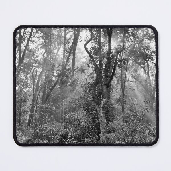 Item preview, Forest at Kanha national park India natural environment in monochrome, for personal gifts. designed and sold by CameraDesign.