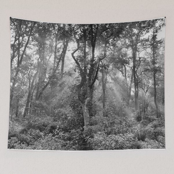 Item preview, Forest at Kanha national park India natural environment in monochrome, for personal gifts. designed and sold by CameraDesign.