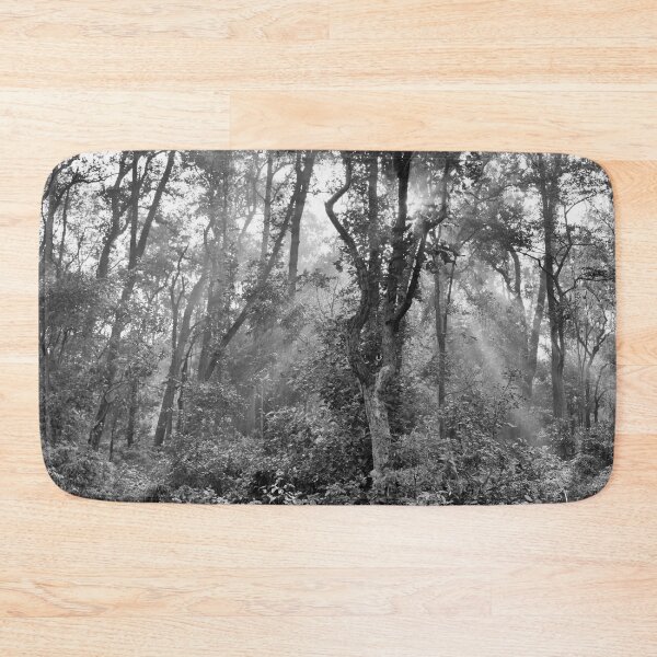Item preview, Forest at Kanha national park India natural environment in monochrome, for personal gifts. designed and sold by CameraDesign.