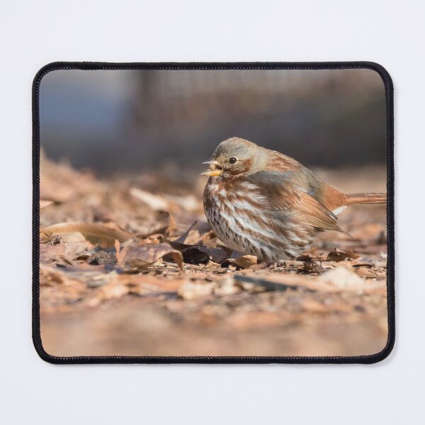 Item preview, Fox Sparrow designed and sold by LaurenTucker.