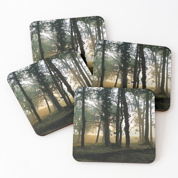 Item preview, Forest at Kanha national park India natural environment, for personal gifts. designed and sold by CameraDesign.