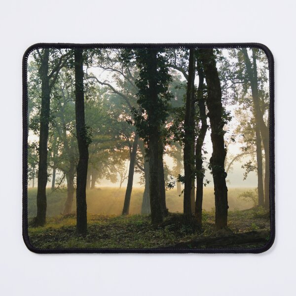 Item preview, Forest at Kanha national park India natural environment, for personal gifts. designed and sold by CameraDesign.