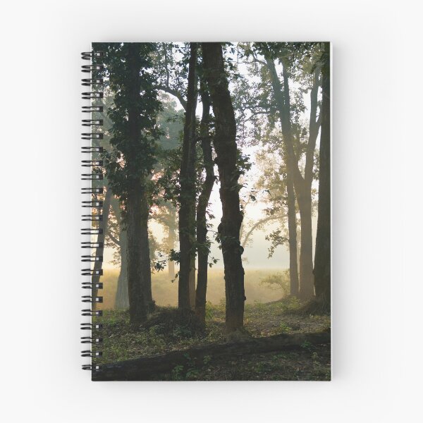Aperçu de l'œuvre Forêt au parc national de Kanha Inde environnement naturel, pour des cadeaux personnels. créée et vendue par CameraDesign.