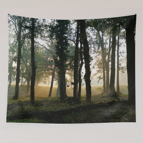 Item preview, Forest at Kanha national park India natural environment, for personal gifts. designed and sold by CameraDesign.