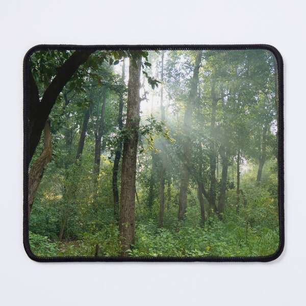 Item preview, Forest at Kanha national park India natural environment, for personal gifts. designed and sold by CameraDesign.
