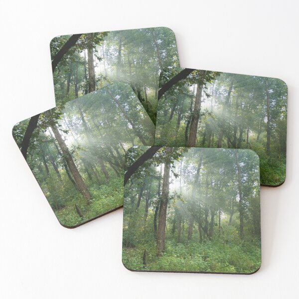 Item preview, Forest at Kanha national park India natural environment, for personal gifts. designed and sold by CameraDesign.