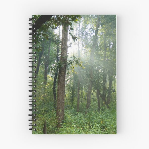Aperçu de l'œuvre Forêt au parc national de Kanha Inde environnement naturel, pour des cadeaux personnels. créée et vendue par CameraDesign.