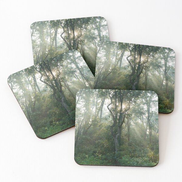 Item preview, Forest at Kanha national park India natural environment, for personal gifts. designed and sold by CameraDesign.