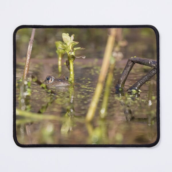 Item preview, Common Frog designed and sold by LaurenTucker.