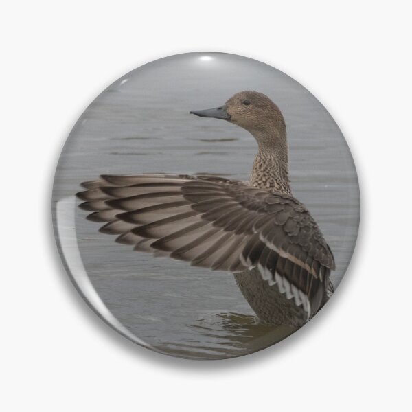 Item preview, Pintail designed and sold by LaurenTucker.