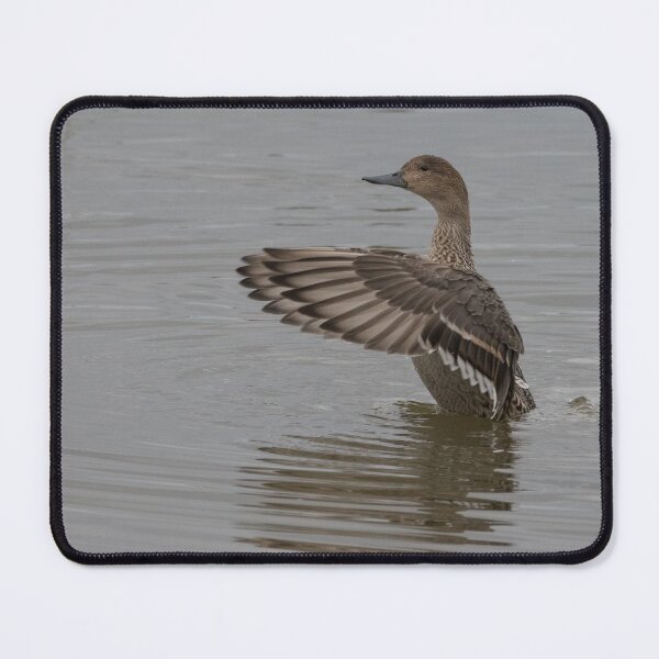 Item preview, Pintail designed and sold by LaurenTucker.
