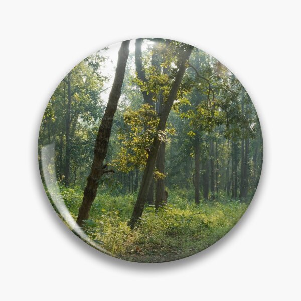 Artikelvorschau, Wald im Kanha Nationalpark Indien natürliche Umgebung, für persönliche Geschenke. entworfen und verkauft von CameraDesign.