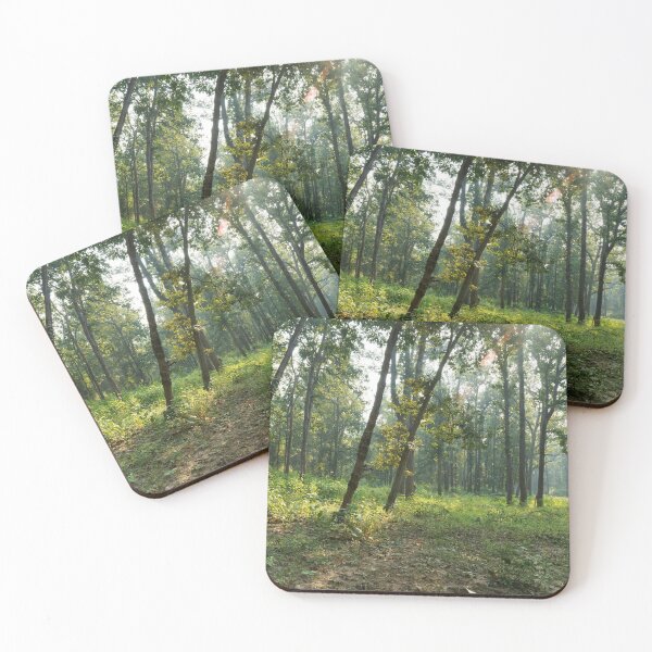 Item preview, Forest at Kanha national park India natural environment, for personal gifts. designed and sold by CameraDesign.