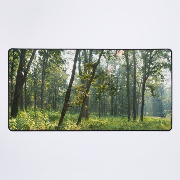 Aperçu de l'œuvre Forêt au parc national de Kanha Inde environnement naturel, pour des cadeaux personnels. créée et vendue par CameraDesign.