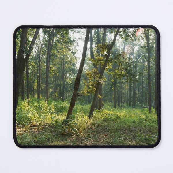 Item preview, Forest at Kanha national park India natural environment, for personal gifts. designed and sold by CameraDesign.