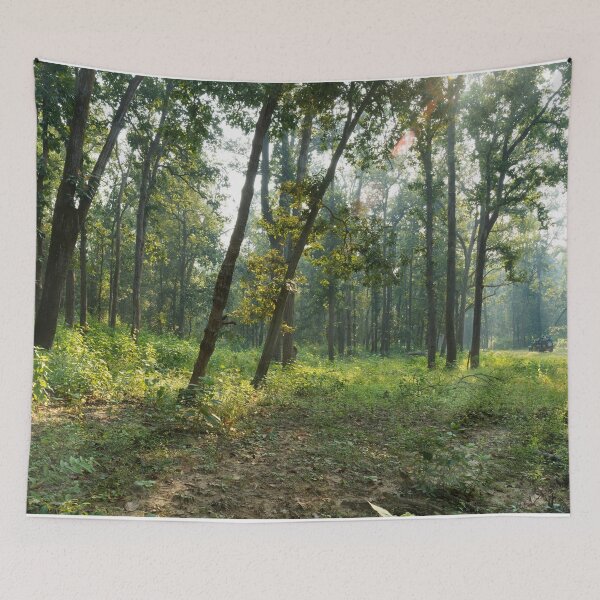Item preview, Forest at Kanha national park India natural environment, for personal gifts. designed and sold by CameraDesign.