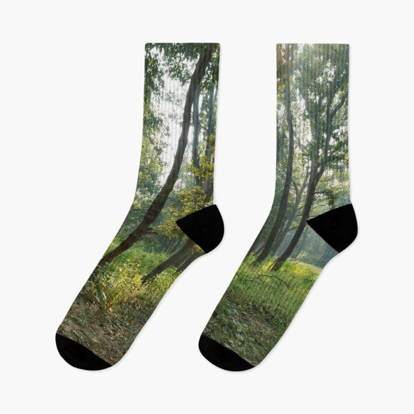 Item preview, Forest at Kanha national park India natural environment, for personal gifts. designed and sold by CameraDesign.