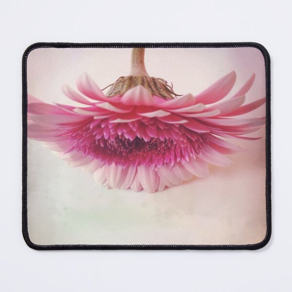 Item preview, Gerbera in pink designed and sold by Christine Mignon.