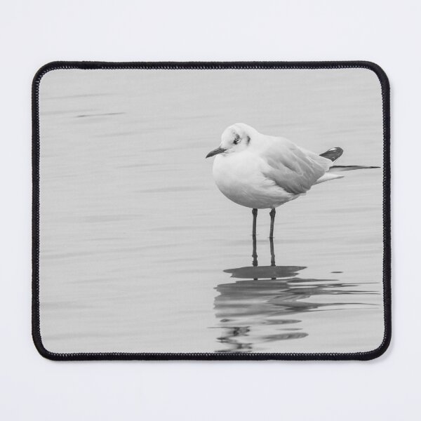 Item preview, Black Headed Gull designed and sold by LaurenTucker.
