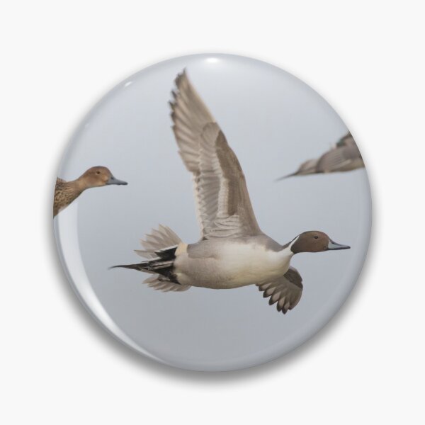 Item preview, Pintail designed and sold by LaurenTucker.
