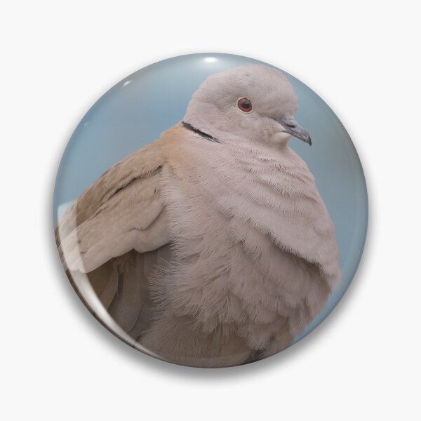 Item preview, Collared Dove designed and sold by LaurenTucker.