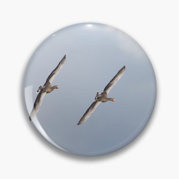 Item preview, Greylag Goose designed and sold by LaurenTucker.
