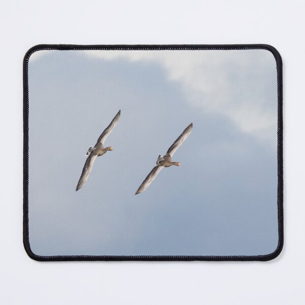 Item preview, Greylag Goose designed and sold by LaurenTucker.