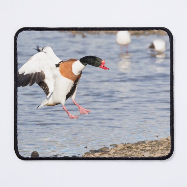Item preview, Shelduck designed and sold by LaurenTucker.