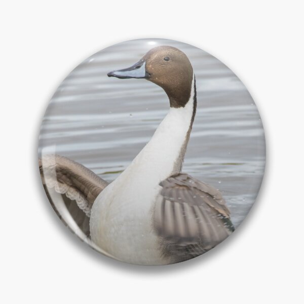 Item preview, Pintail designed and sold by LaurenTucker.