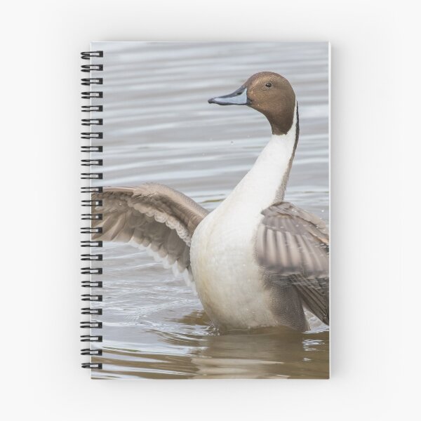 Item preview, Pintail designed and sold by LaurenTucker.