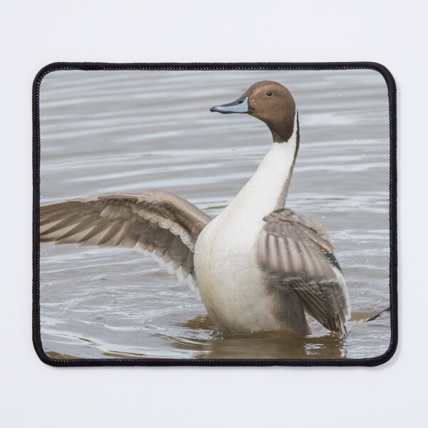 Item preview, Pintail designed and sold by LaurenTucker.