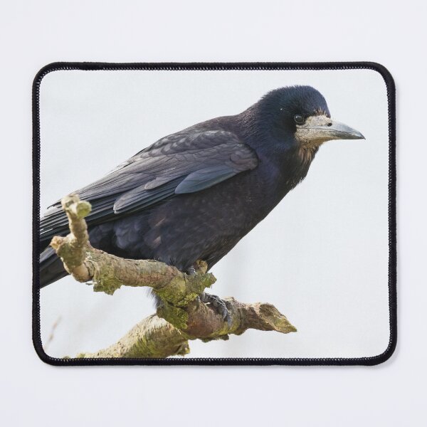 Item preview, Rook designed and sold by LaurenTucker.