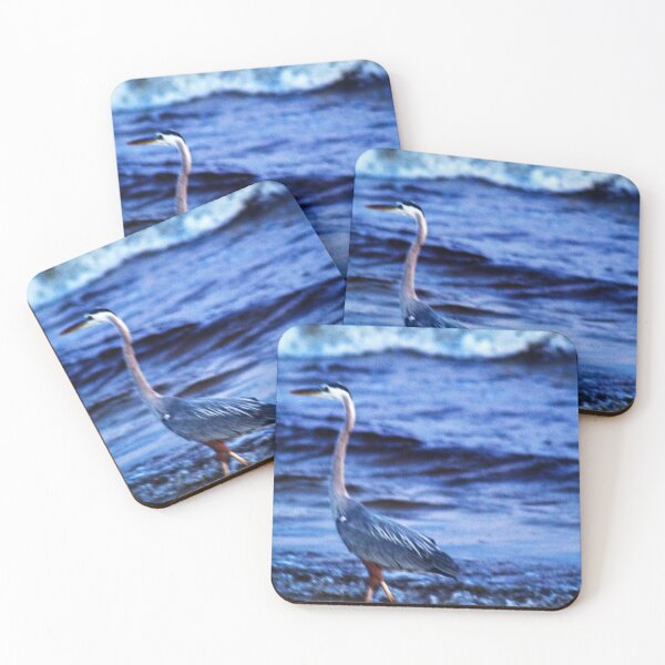 Item preview, Bird walks along the shore of Florida beach.  designed and sold by mrtom414.