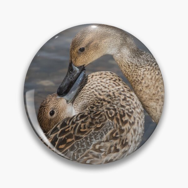 Item preview, Pintail designed and sold by LaurenTucker.