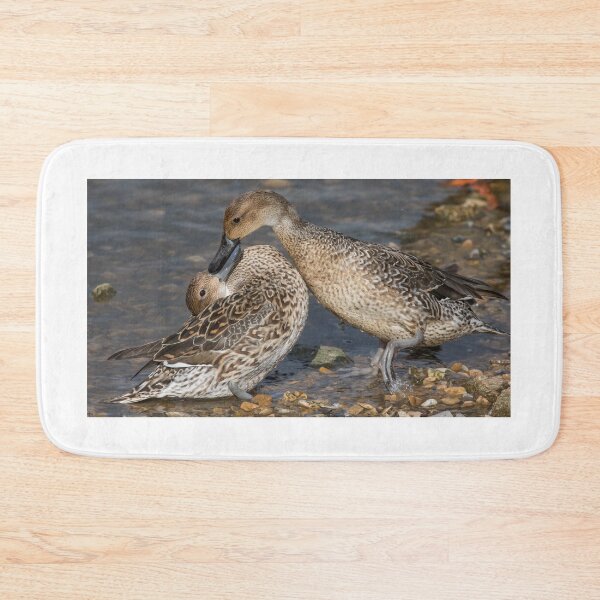 Item preview, Pintail designed and sold by LaurenTucker.