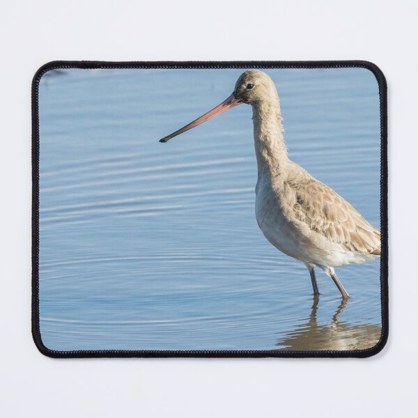 Item preview, Black Tailed Godwit designed and sold by LaurenTucker.