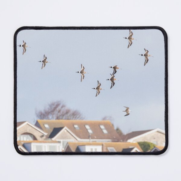Item preview, Black Tailed Godwit designed and sold by LaurenTucker.
