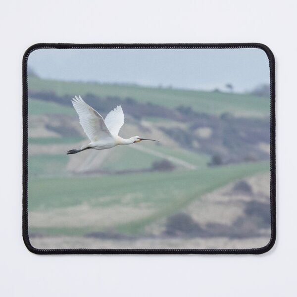 Item preview, Spoonbill designed and sold by LaurenTucker.