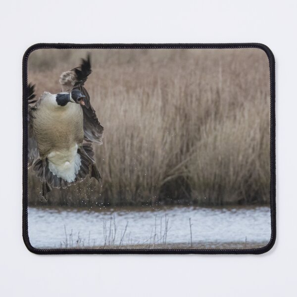 Item preview, Canada Goose designed and sold by LaurenTucker.