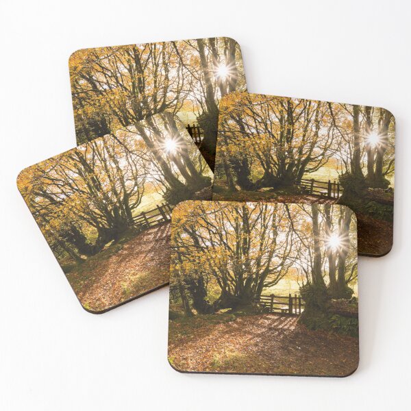 Item preview, Autumn Sunlight designed and sold by Craig Joiner.