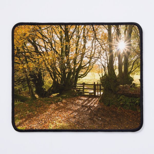 Item preview, Autumn Sunlight designed and sold by Craig Joiner.