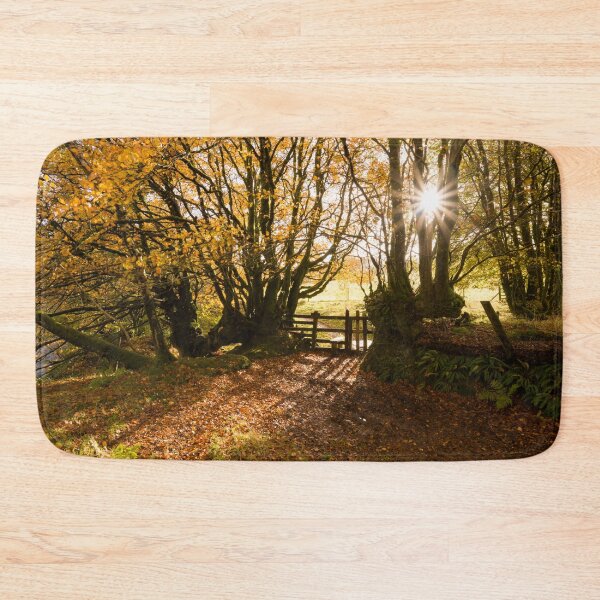 Item preview, Autumn Sunlight designed and sold by Craig Joiner.