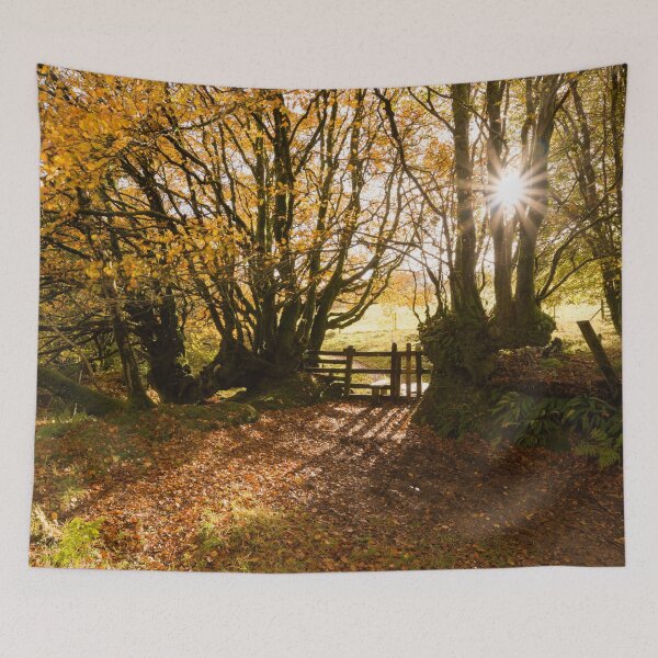 Item preview, Autumn Sunlight designed and sold by Craig Joiner.