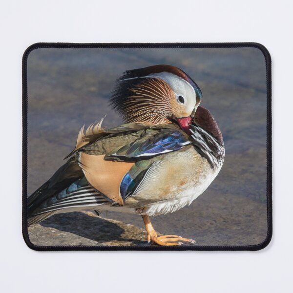 Item preview, Mandarin Duck designed and sold by LaurenTucker.