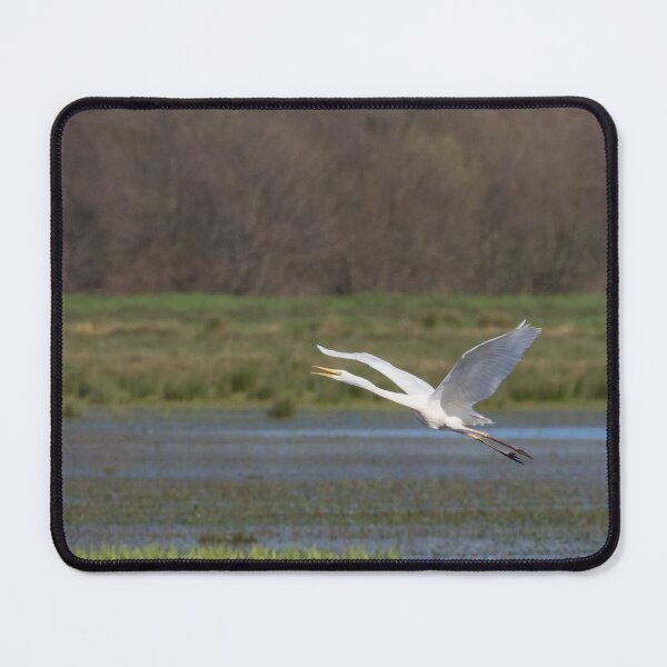 Item preview, Great White Egret designed and sold by LaurenTucker.
