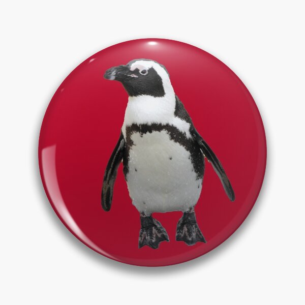 Item preview, A Wonderful Little Black Footed Penguin designed and sold by Karen Thomson.